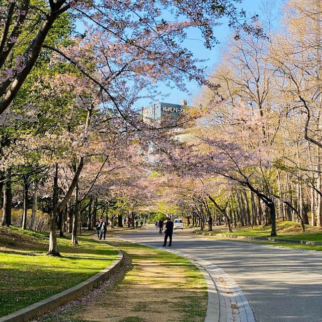 Nakajima Park