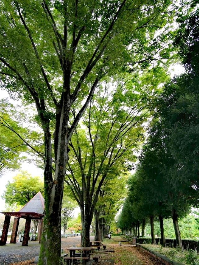 秋留台公園