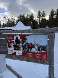 A visit to the Magical Reindeer Encounter in Lapland