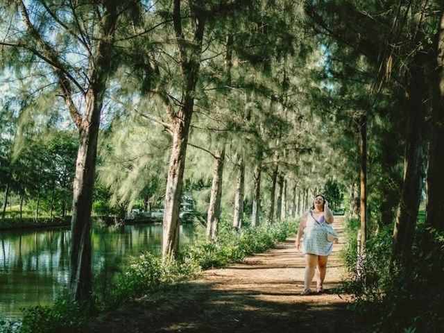 คาเฟ่สุดชิล กลางทุ่งนา ราชบุรี