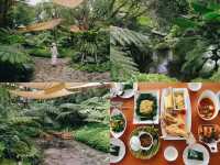 รวม 19 คาเฟ่เขาใหญ่ที่...ต้องห้ามพลาด🌿