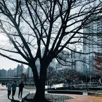 🇰🇷韓國釜山東萊