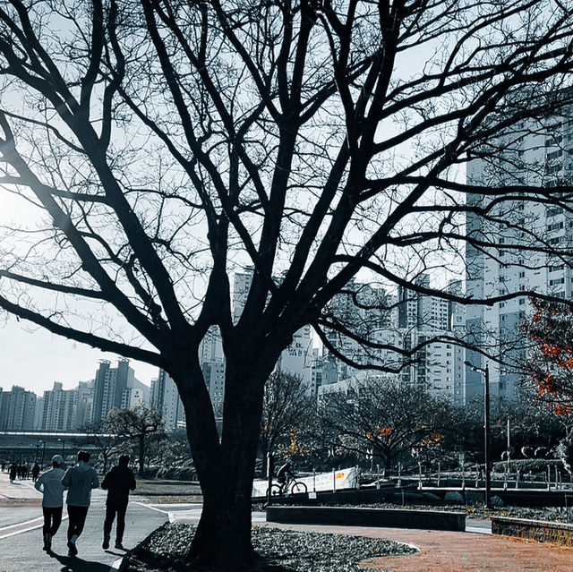 🇰🇷韓國釜山東萊
