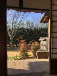 歴史も季節のうつろいも野鳥のくつろぎも感じられる とてもよい公園