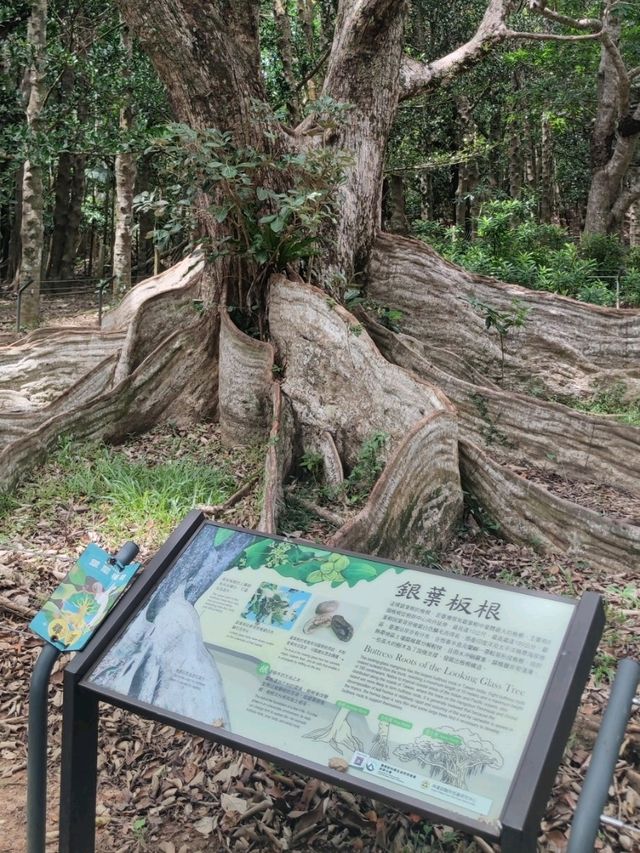 #墾丁國家森林遊樂區
