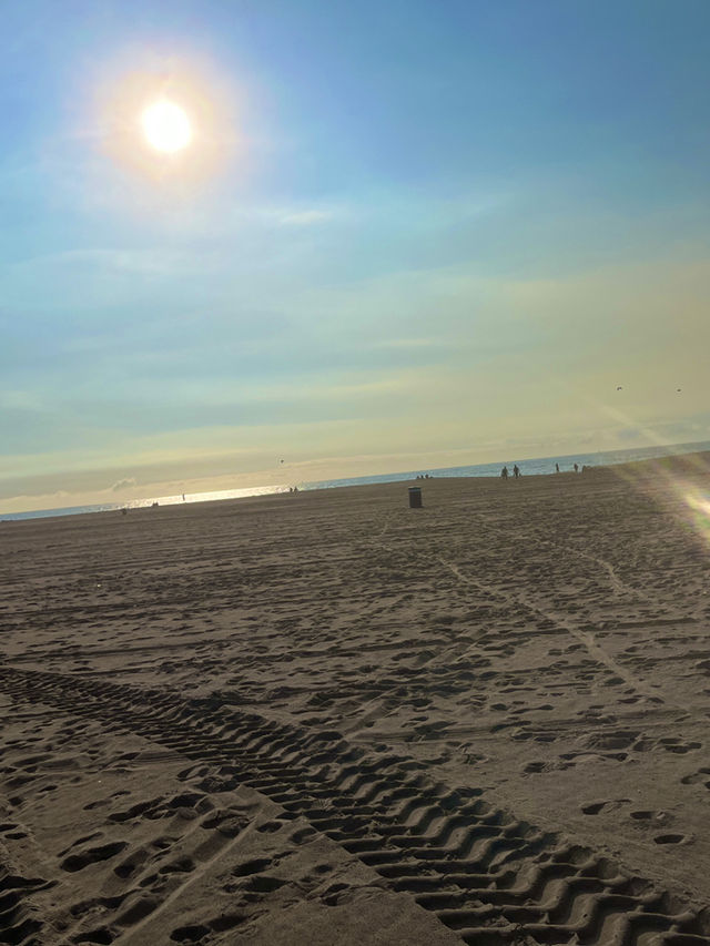 【🌊カリフォルニアの絶景ビーチ！「サンタモニカビーチ」完全ガイド🚲✨】