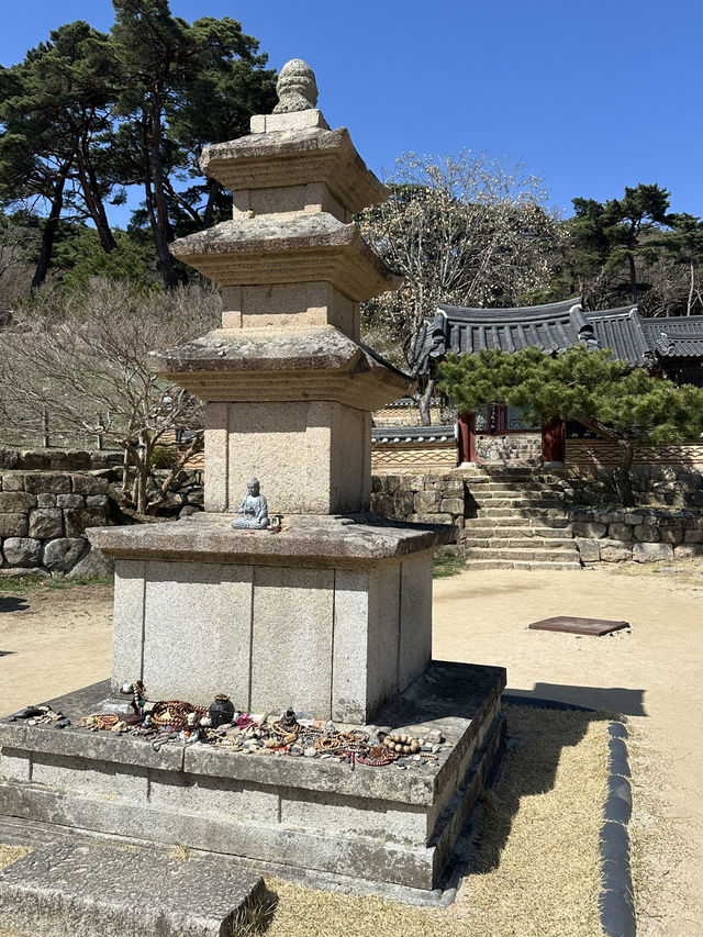 【韓国/大邱】日本人のプロが選んだ絶景30選のうちの一つ！