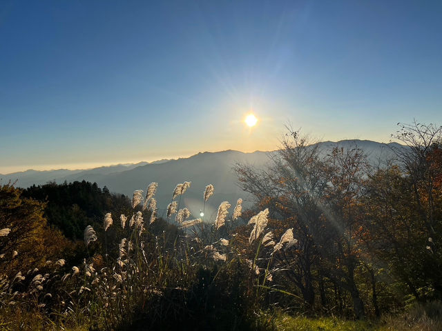 【まるで雲の上の楽園🌄✨「大台ヶ原」で絶景ハイキング！】