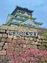 일본의 성과 벚꽃 투어 여행🌸🌸