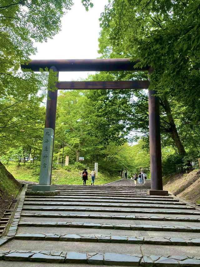 🏛️【北海道神宮＆神宮茶屋で過ごす、歴史と自然のひととき】 