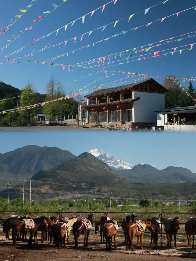 Horse Riding Adventure on the Ancient Tea-Horse Road in Lijiang