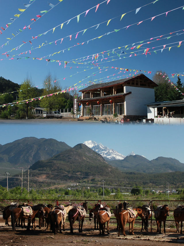 Horse Riding Adventure on the Ancient Tea-Horse Road in Lijiang