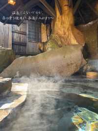 朝食後のきらきらしたお湯がきれい...岩露天風呂🪨合掌造りの宿 はづ合掌