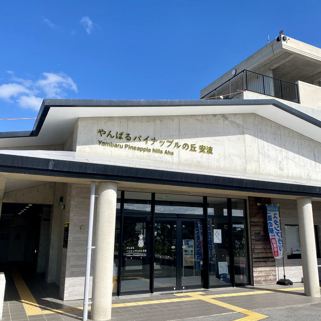 🚗 沖縄本島最北端までドライブ旅！🌺