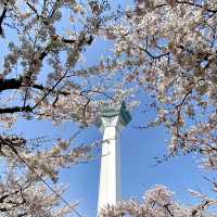 Spring Breeze in Goryokaku Park Hakodate