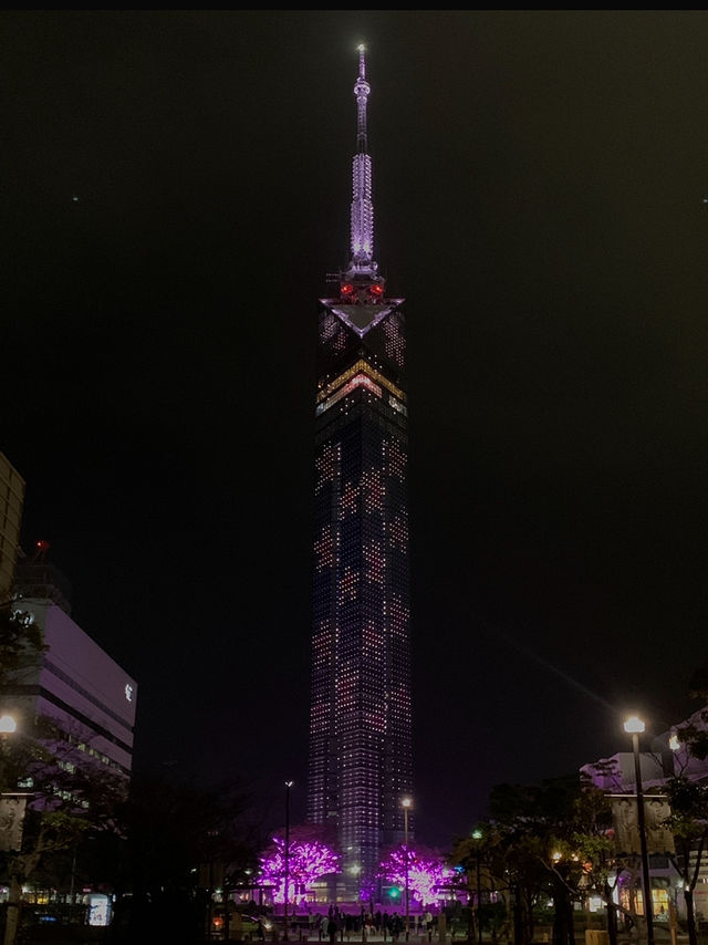 🗼 후쿠오카 타워, 하늘과 바다가 만나는 곳 🌊✨