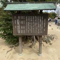 【山口県下関市長府🇯🇵忌宮神社】長府の中心に佇む歴史ある神社⛩️