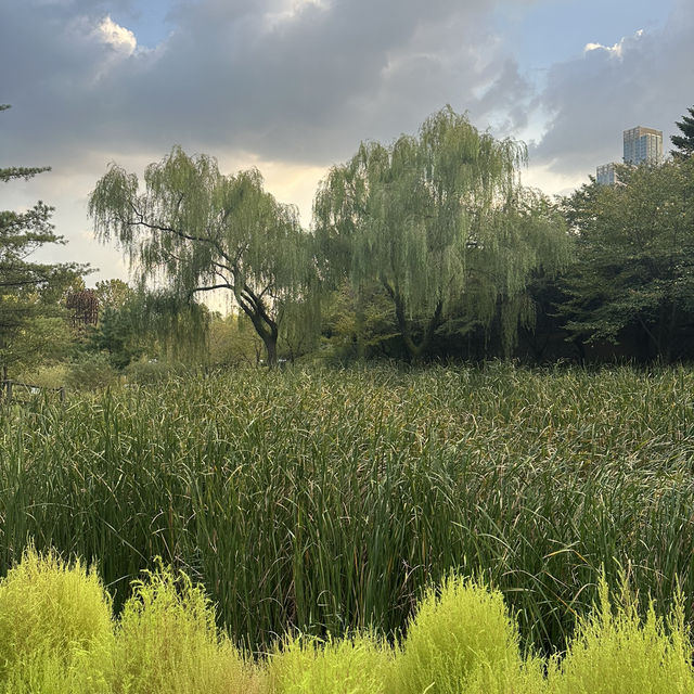 【ソウル】🇰🇷 ヨンサン家族公園