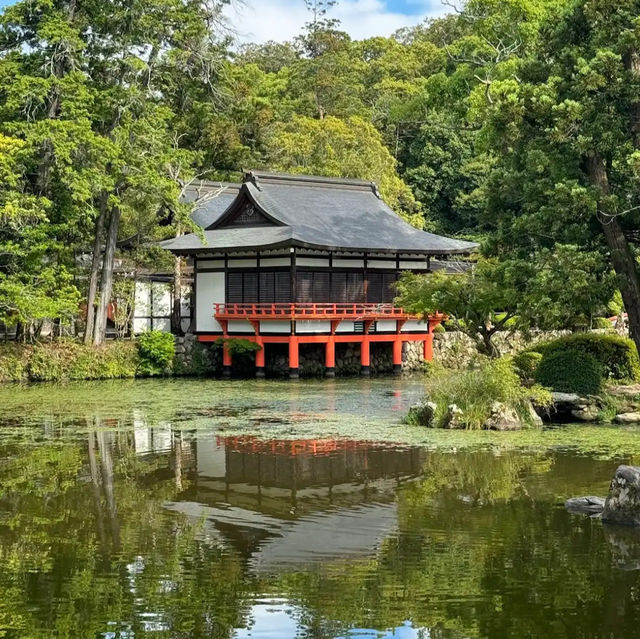 【宇佐】🇯🇵 宇佐神宮