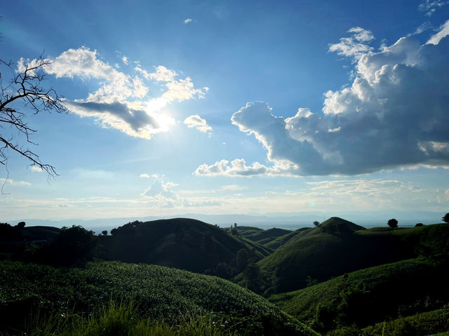 เที่ยวถนนเทเลทับบี้ ร้องกวาง แพร่ ⛰️🌾