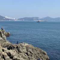 松島空中纜車×海景步道｜貓咪陪你散步的療癒系公園
