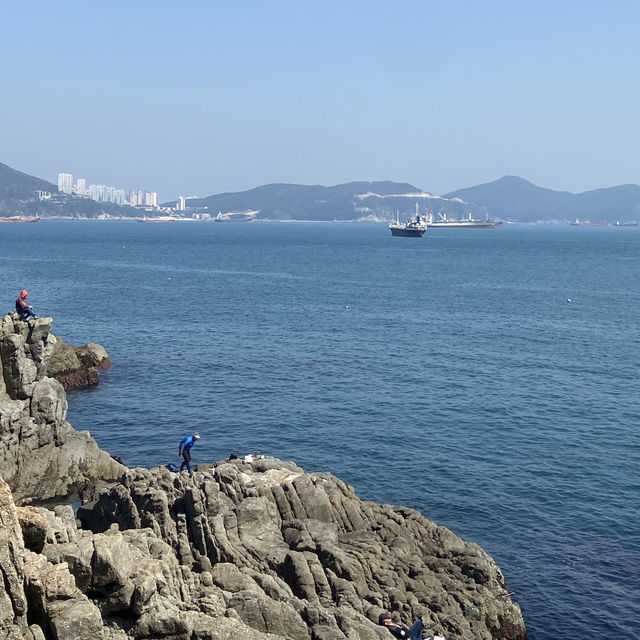 松島空中纜車×海景步道｜貓咪陪你散步的療癒系公園