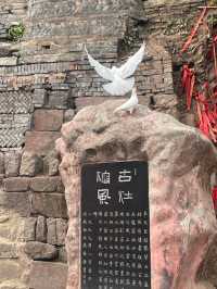 Nanfeng Ancient Kiln-A Living Museum of 500 Years of Ceramic Fire  