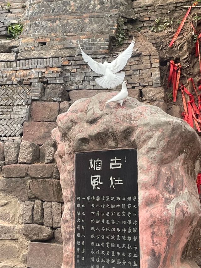 Nanfeng Ancient Kiln-A Living Museum of 500 Years of Ceramic Fire  