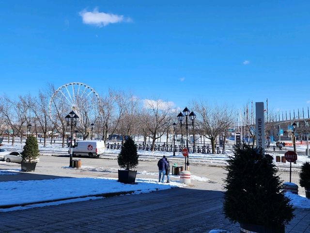 [🇨🇦モントリオール] La Grande Roue de Montréalで空からモントリオールを楽しむ
