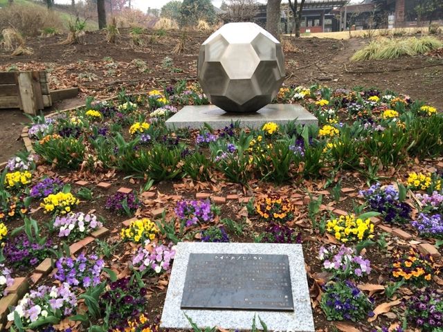 【千葉】あけぼの山農業公園でお花見