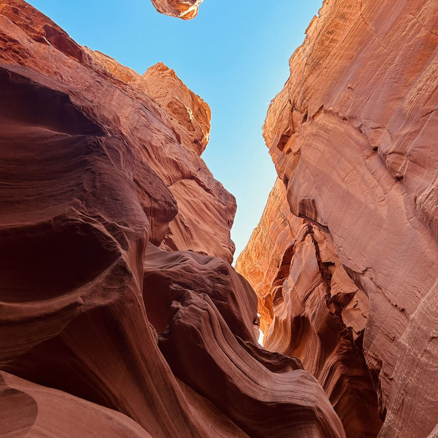 A Must-Do Day Trip from Las Vegas