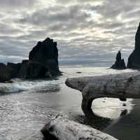 Olympic National Park, Washington – Wilderness in Every Direction