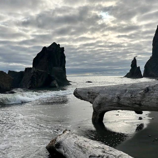 Olympic National Park, Washington – Wilderness in Every Direction