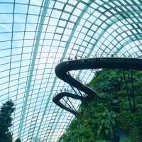 Misty Marvel: A Walk Among the Clouds 🇸🇬