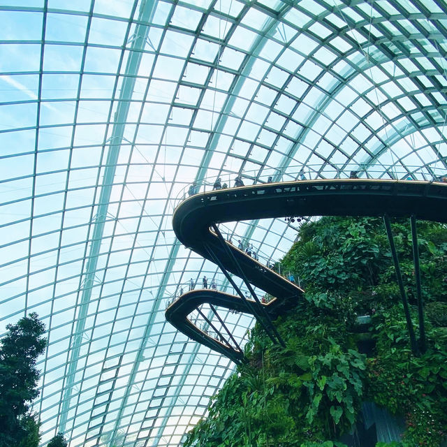 Misty Marvel: A Walk Among the Clouds 🇸🇬
