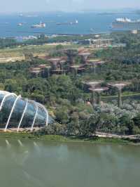 Singapore Flyer