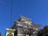 歴史と自然が交差するスポット！金神社と岐阜城で岐阜の魅力を堪能しよう