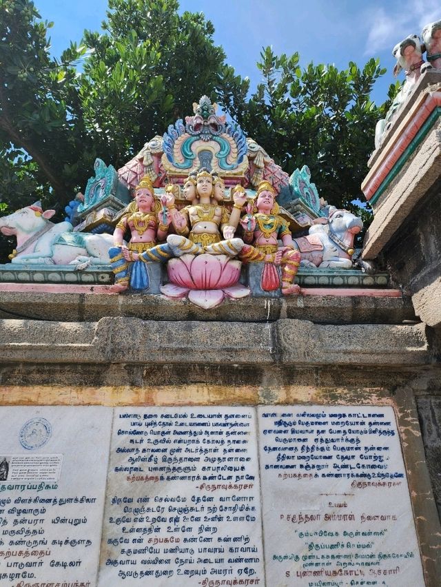 【チェンナイ/インド】一度は見ておきたい寺院🛕カバレーシュヴァラル寺院