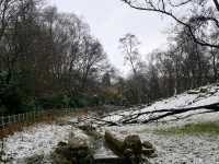 Manchester's Green Escape