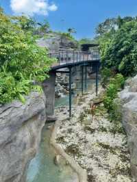 Into the Wild: Exploring Singapore’s Rainforest Wild Asia