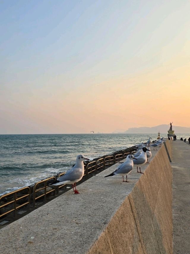 🌊 海雲台夢幻之旅：探索韓國的海洋天堂 🏖️✨