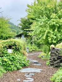 Spring Escape to Tia Tree – Apple Pie in Nature’s Embrace