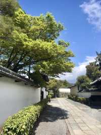 Spring Stroll at Myōshin-ji Temple – A Grand Zen Experience