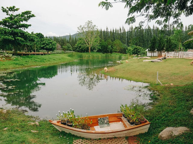 เขาใหญ่ 2 วัน 1 คืน...เที่ยวไหนได้บ้าง🌿