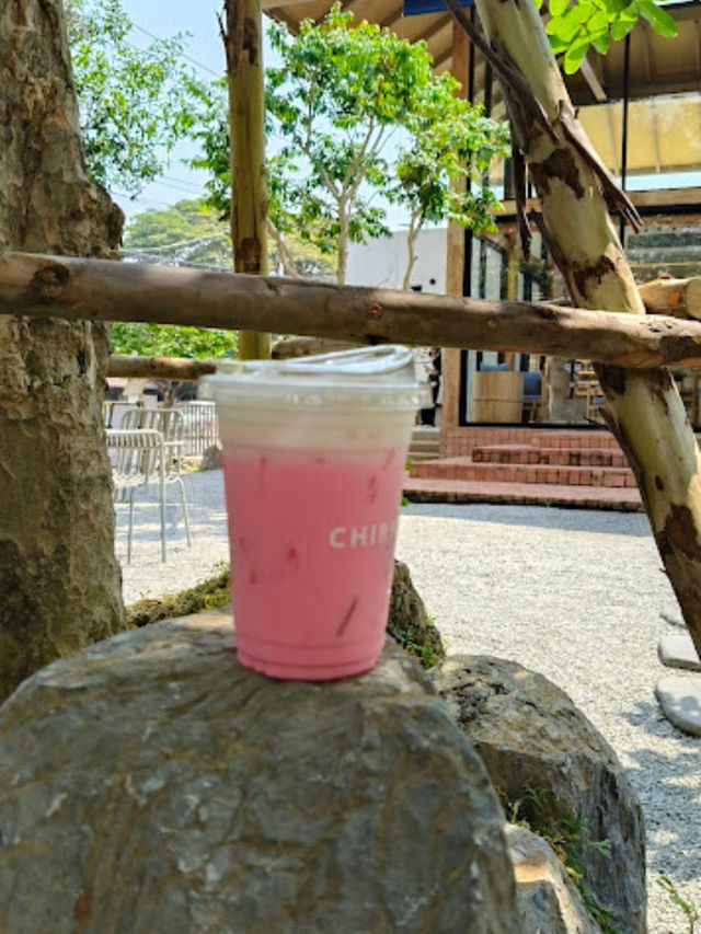 🍰 Chirp cafe and chat space