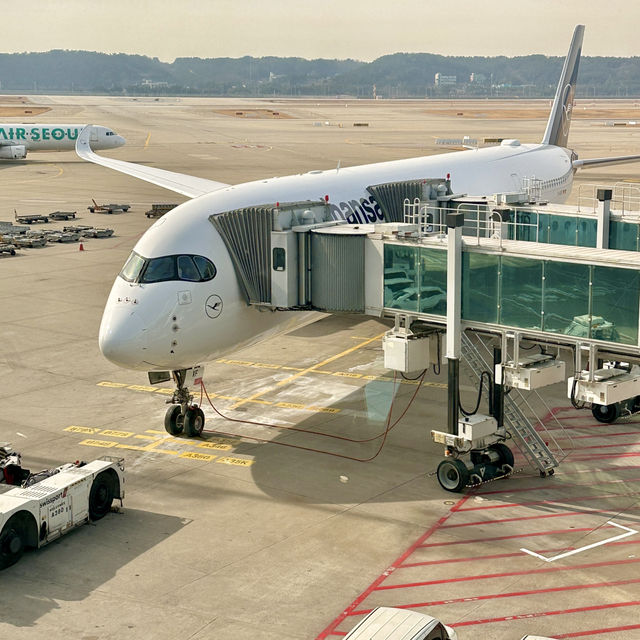 루프트한자 LH719 ✈️