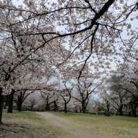 Shikishima Park, Gunma
