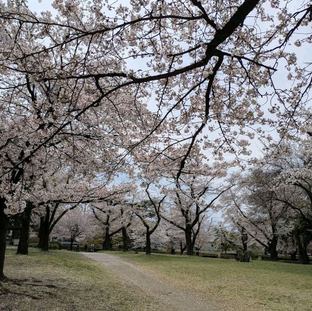 Shikishima Park, Gunma