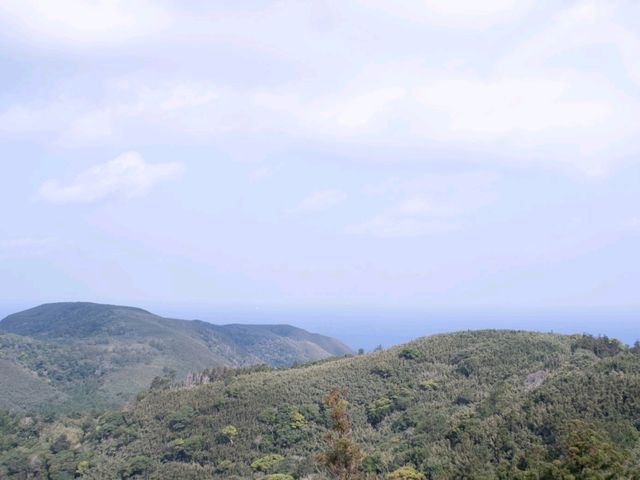 【鹿児島】小さなり離島「口永良部島」が最高だった！