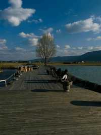 8 Days Across Yunnan: A Scenic Soul Reset from Dali to Shangri-La